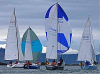 Down wind with the fleet 2